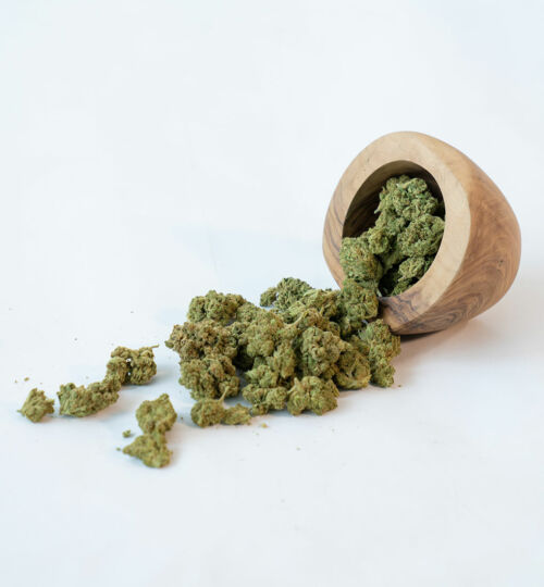 Green Dream
